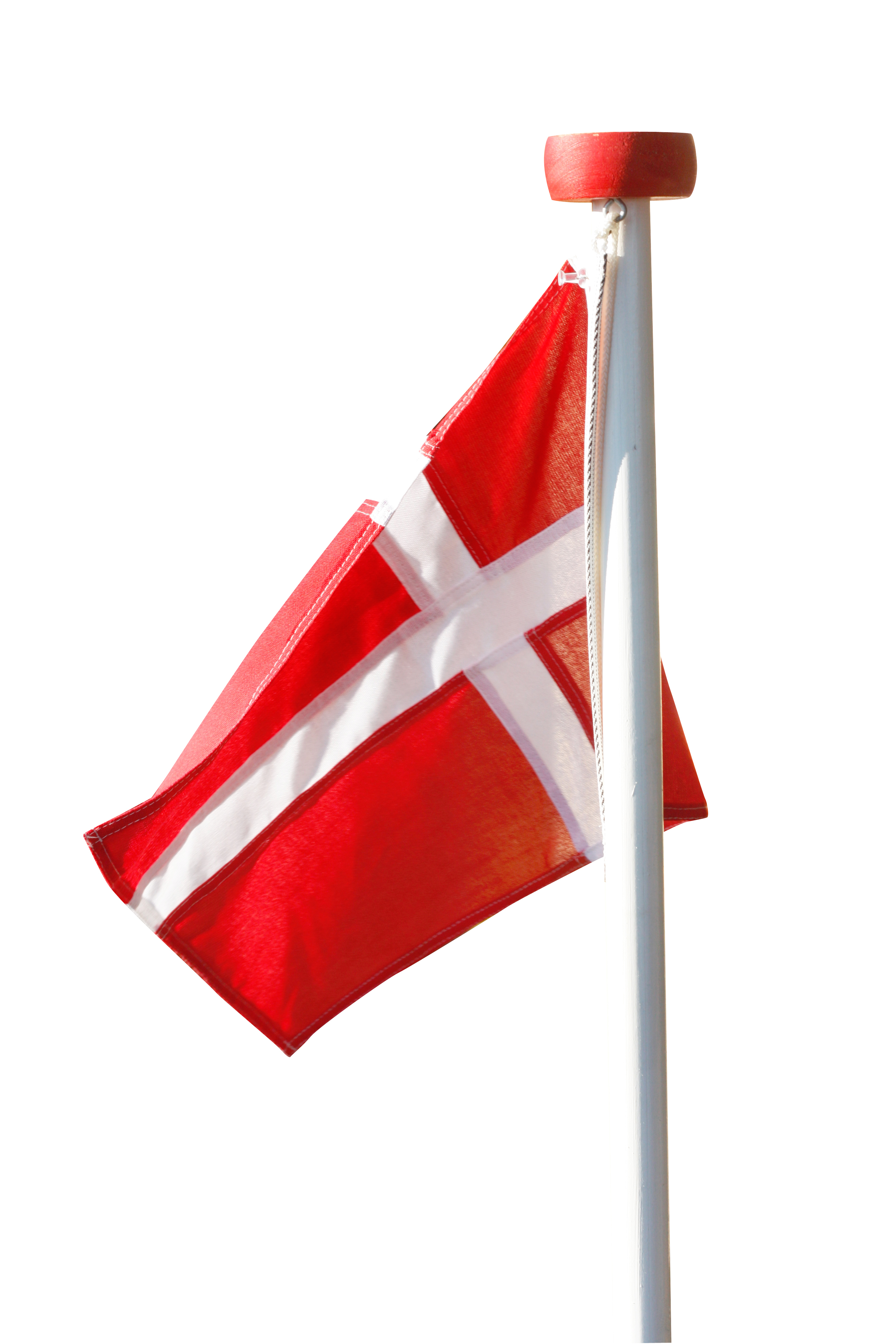 23 års fødselsdag 23 års fødselsdag